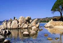 登顶之战！胜者将成为体育赛场的巨星的简单介绍