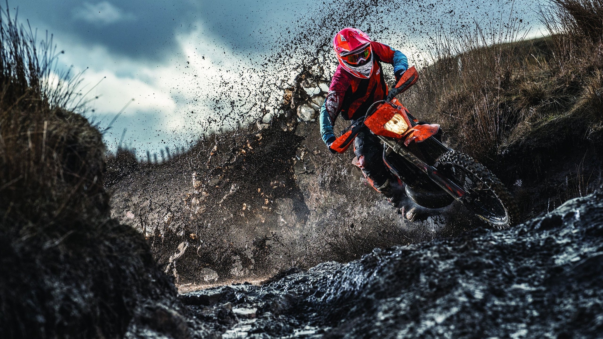 塔图姆重返赛场，晋级下一阶段首场状态出色，巴塞罗那观众沸腾！引发球迷热议